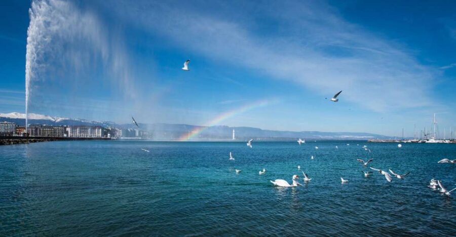 Geneva: Scenic Lake Cruise with Snacks and Wine - A quiet hour on Lake Geneva