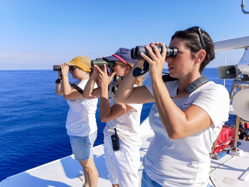 Genoa: Cetacean Watching Cruise with Marine Biologist Guide - Key points to know before booking