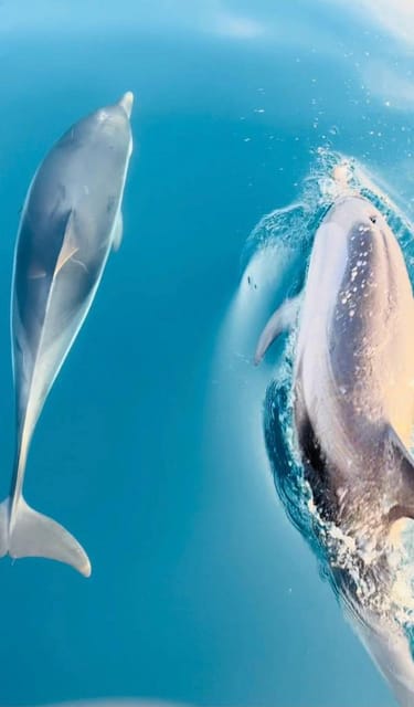 Giardini Naxos: Dolphin Searching Sunset Boat Tour - Grotta dell’Amore and the first coastal views