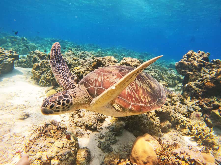 Gili Trawangan: Gili Islands Sunset Boat Tour and Snorkeling - Boarding the glass-bottom boat