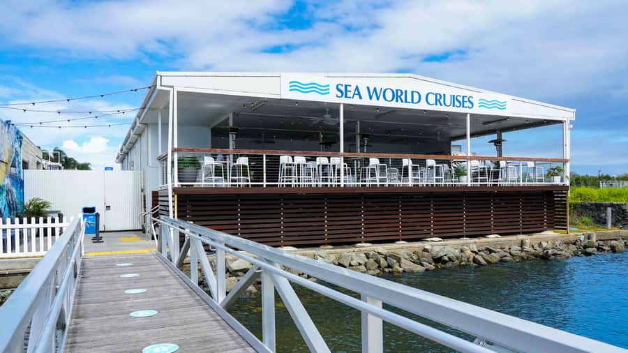 Gold Coast: Premium Whale Watching Cruise - Underwater microphones and phone video