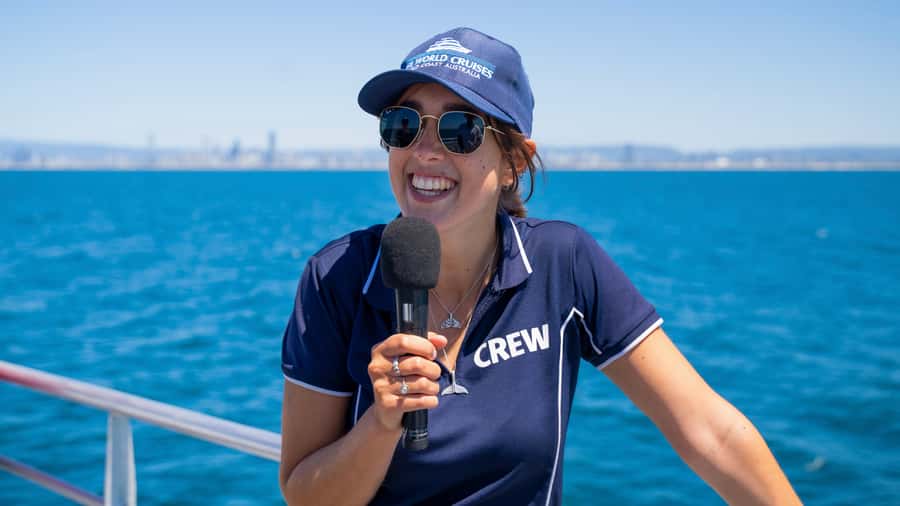 Gold Coast: Premium Whale Watching Cruise - Is $63 good value?