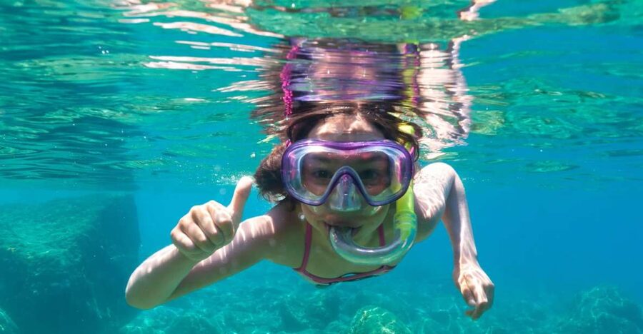 Golfo Aranci: Dolphin Watching and Snorkeling Boat Tour - Quick take: the details that matter
