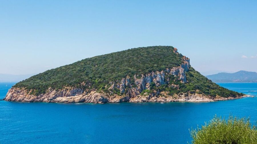Golfo Aranci: Dolphin Watching and Snorkeling Boat Tour - Leaving Sos Aranzos for Capo Figari