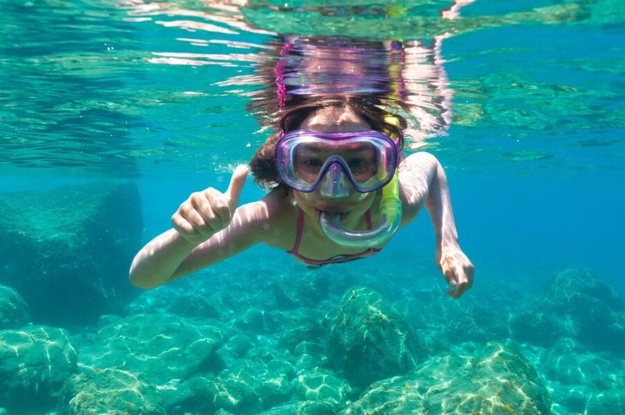 Golfo Aranci: Dolphin Watching and Snorkeling Boat Tour - Why the dolphin watching feels different