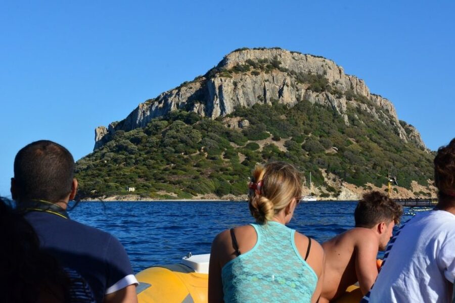 Golfo Aranci: Eco-Friendly Dolphin Watching Boat Trip - Key points to know before you go