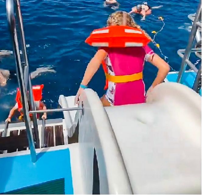 Gran Canaria: Catamaran Dolphin Watch Cruise with Snorkeling - Setting out from Puerto Base in Puerto Rico