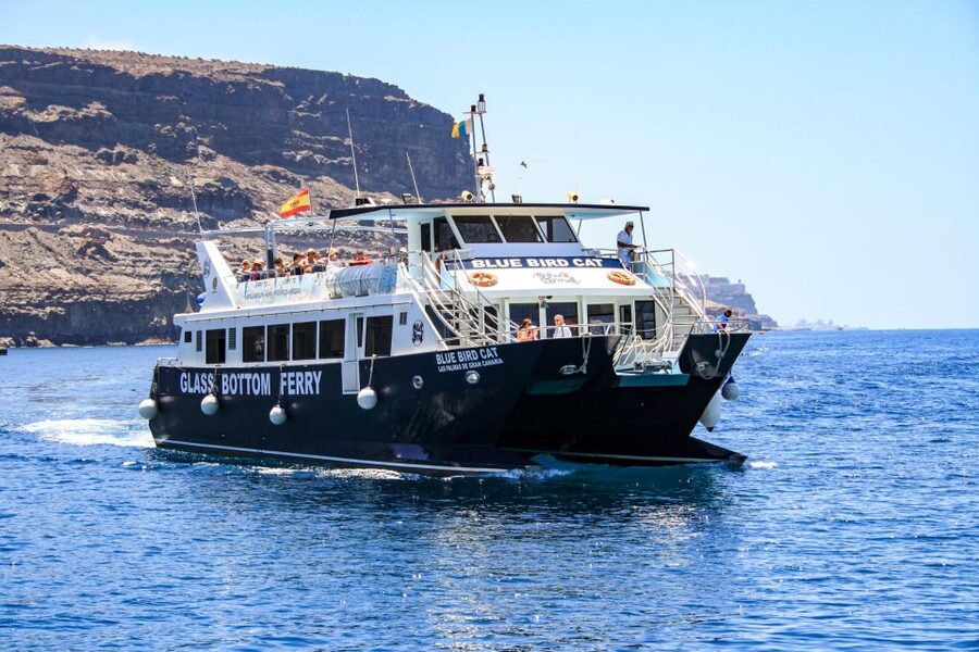 Gran Canaria: Catamaran Dolphin Watch Cruise with Snorkeling - What the catamaran feels like at sea