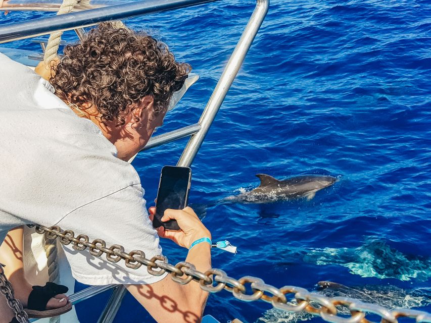 Gran Canaria: Catamaran Dolphin Watch Cruise with Snorkeling - The swimming stop near Taurito