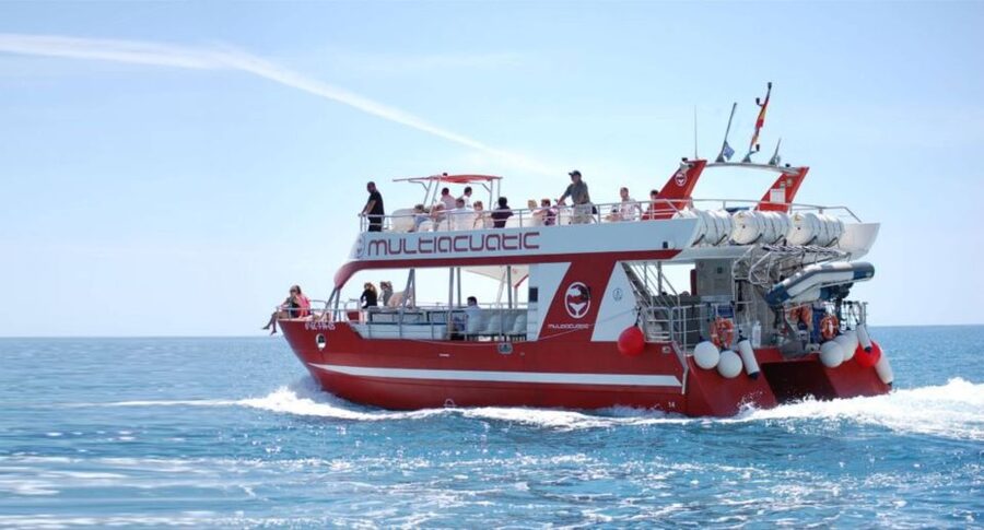 Gran Canaria: Dolphin and Whale Watching Cruise - Key points to know before booking