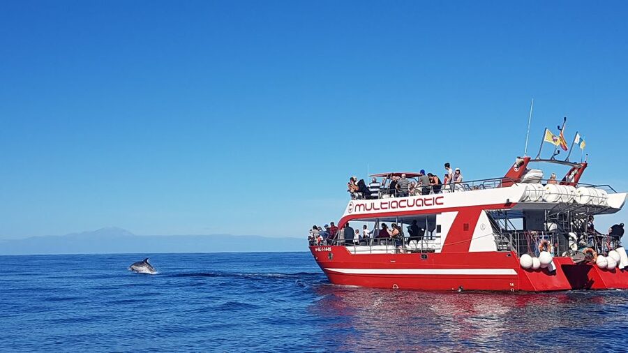 Gran Canaria: Dolphin and Whale Watching Cruise - Leaving Puerto Rico for the open Atlantic