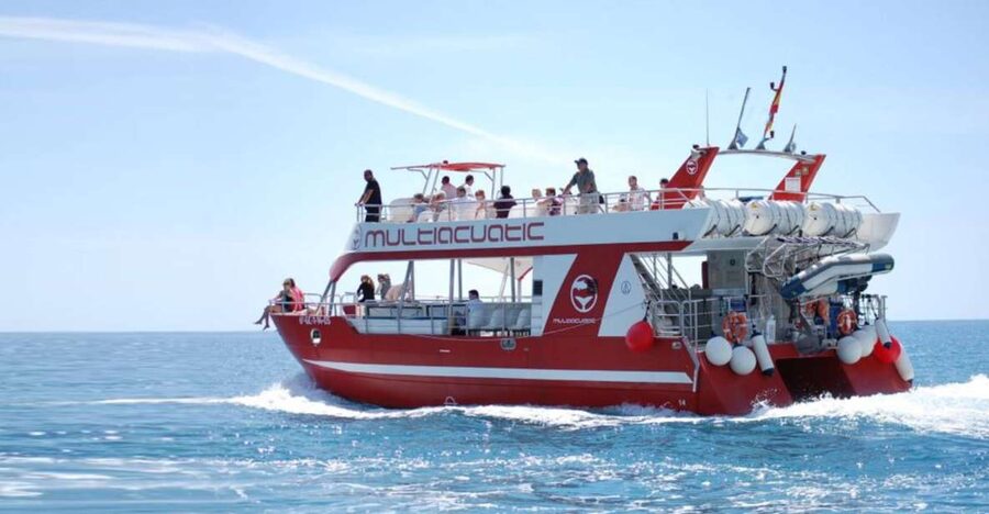 Gran Canaria: Dolphin and Whale Watching Cruise - What happens once dolphins appear