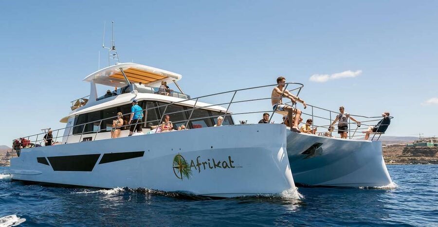 Gran Canaria: Fun Catamaran Cruise with Food and Drinks - Why this Gran Canaria cruise is worth considering