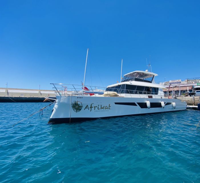 Gran Canaria: Fun Catamaran Cruise with Food and Drinks - Who will enjoy this cruise most