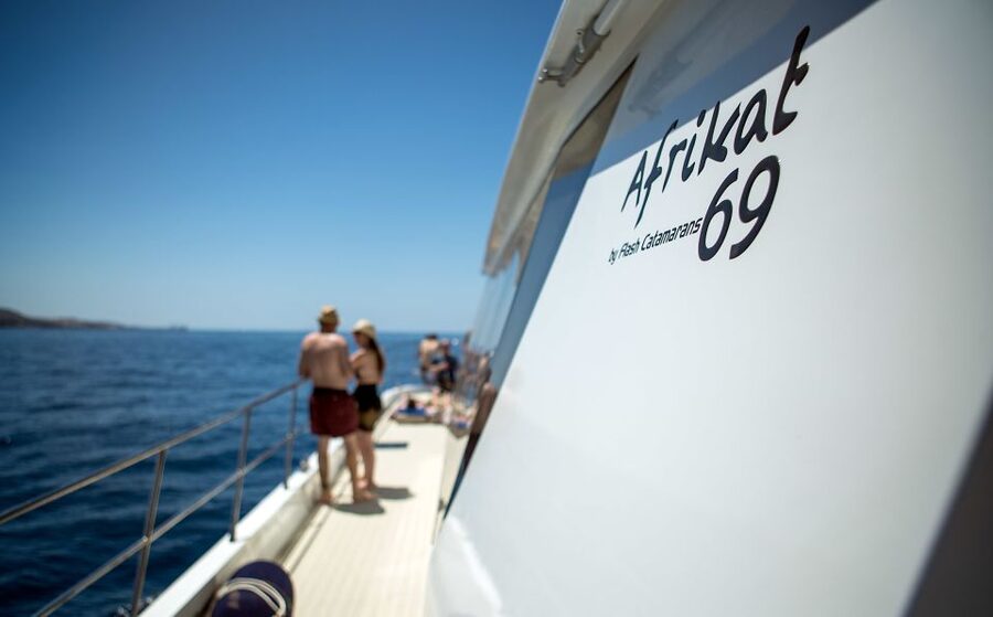 Gran Canaria: Fun Catamaran Cruise with Food and Drinks - What to bring and how to plan the day