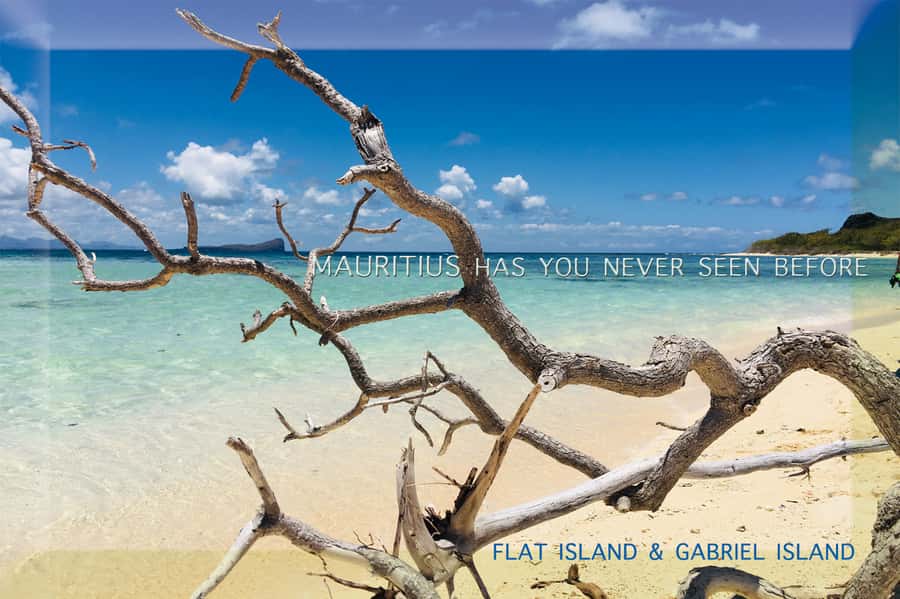 Grand Baie: Catamaran 3 Islands Cruise & Lunch on the Island - The return sail, music, and possible wildlife