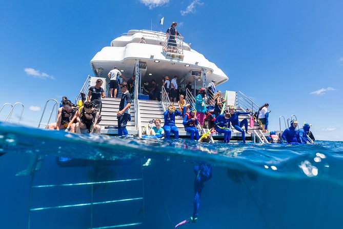 Great Barrier Reef Snorkeling and Diving Cruise from Cairns - First water session at Saxon or Norman Reef