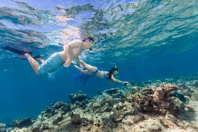 Great Barrier Reef Snorkeling and Diving Cruise from Cairns - A second reef stop at Hastings Reef