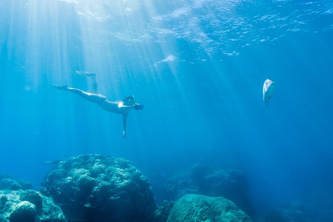 Great Barrier Reef Snorkeling and Diving Cruise from Cairns - The return trip: snacks, music, and recovery time