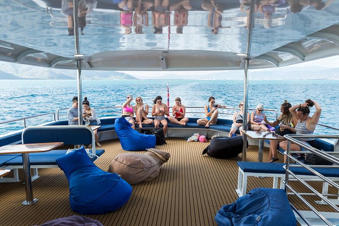 Great Barrier Reef Snorkeling and Diving Cruise from Cairns - Scuba options for beginners and certified participants