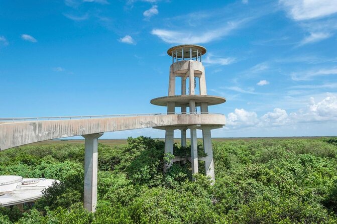 Half-day Everglades National Park Tour and 1-Hour Air Boat Ride - What this half-day Everglades tour actually offers
