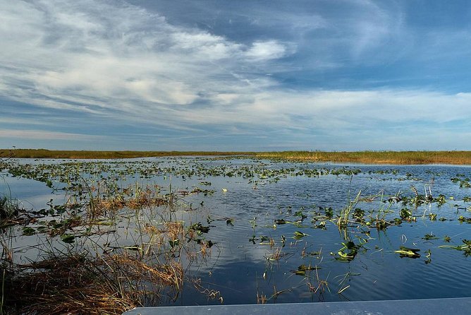 Half-day Everglades National Park Tour and 1-Hour Air Boat Ride - Guides are the main reason to choose this tour