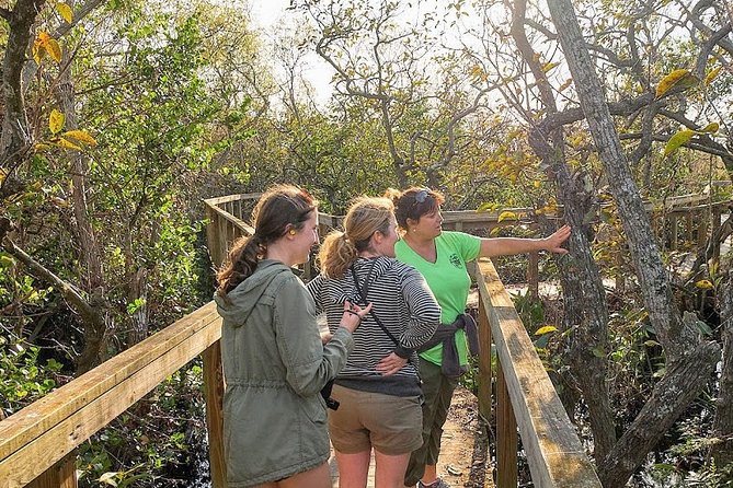 Half-day Everglades National Park Tour and 1-Hour Air Boat Ride - Timing, traffic, and the real meaning of half-day