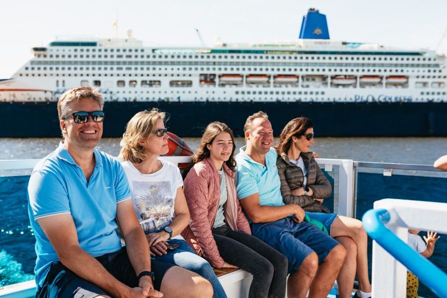 Hamburg: 1.5-Hour Harbor and Speicherstadt Day Cruise - Container terminals and the working Elbe