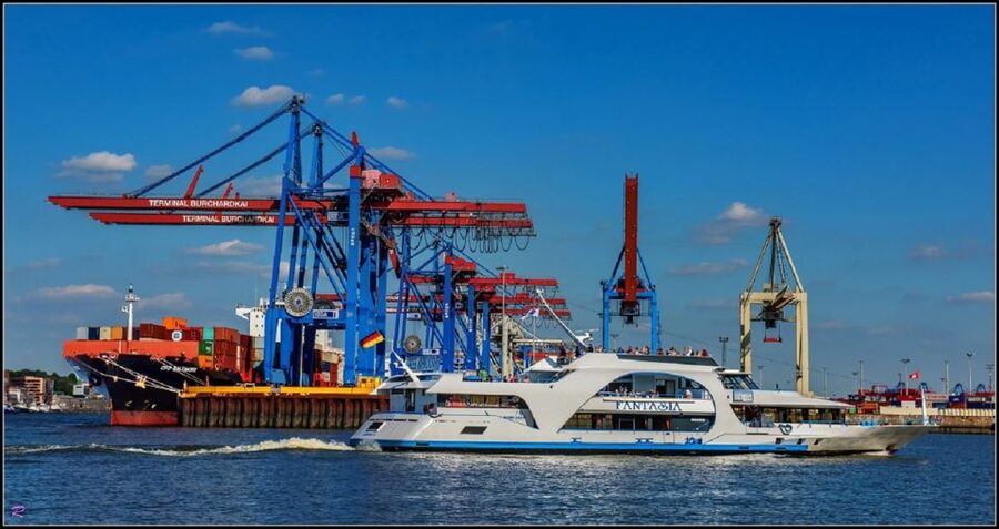 Hamburg: 2-Hour Sightseeing Cruise to Blankenese - Parkhafen and Waltershofer Hafen show Hamburg at work