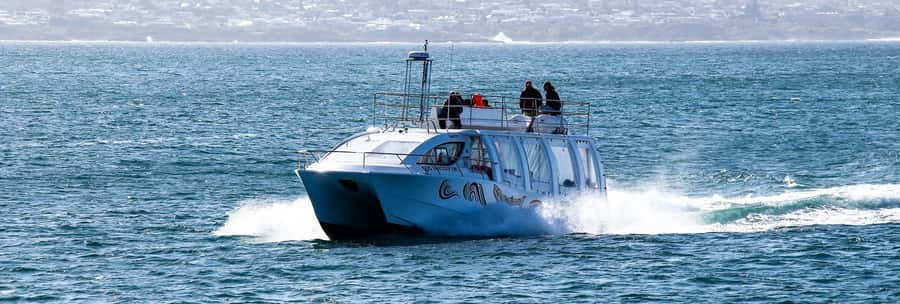 Hermanus: Boat Based Whale Watching Experience - The boat, upper deck, and photography