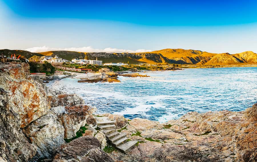 Hermanus: Whale and Dolphin Watching Boat Trip - A guide-led lesson while the action happens