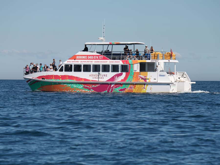 Hervey Bay: Sunset Cruise to Great Sandy Marine Park - Wildlife in the Great Sandy Marine Park