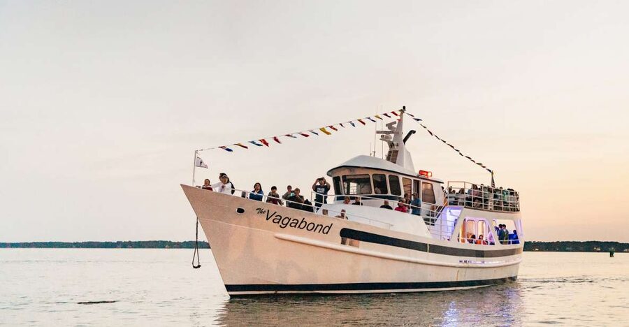 Hilton Head Island: Sunset Dolphin Cruise - Why this sunset cruise works so well