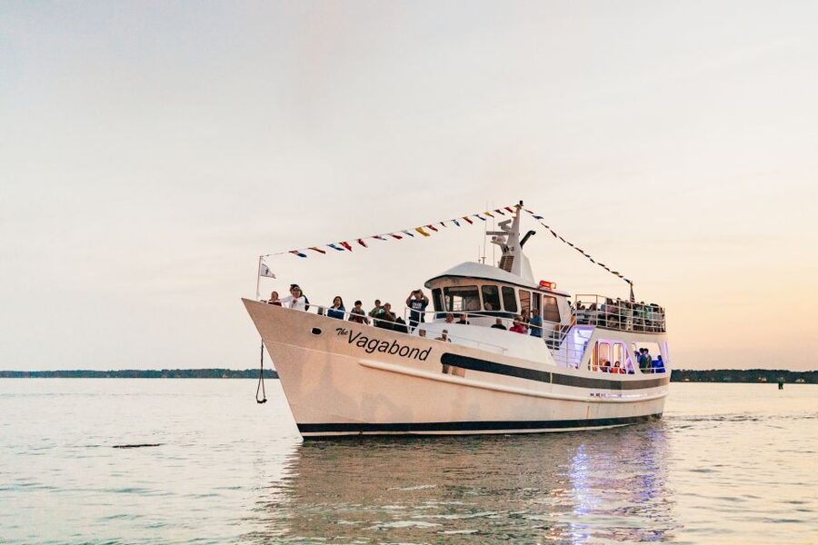 Hilton Head Island: Sunset Dolphin Cruise - The first 45 minutes: searching for Atlantic bottlenose dolphins