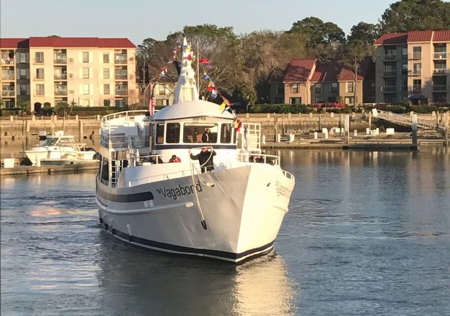 Hilton Head Island: Sunset Dolphin Cruise - Live narration that can make or break the outing