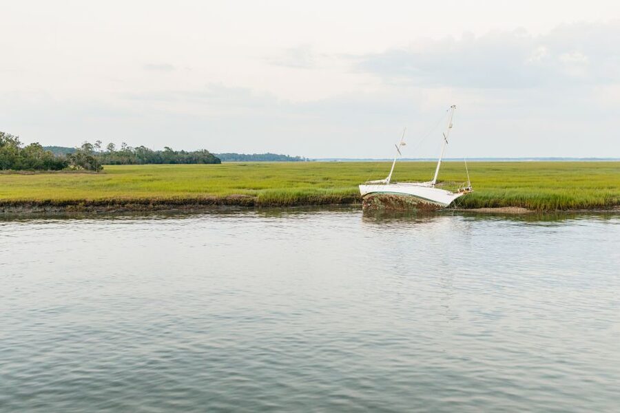 Hilton Head Island: Sunset Dolphin Cruise - Who should book the Vagabond cruise?