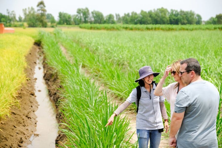 Ho Chi Minh City: Mekong Delta Full-Day Speedboat Tour - Lunch is a major part of the value
