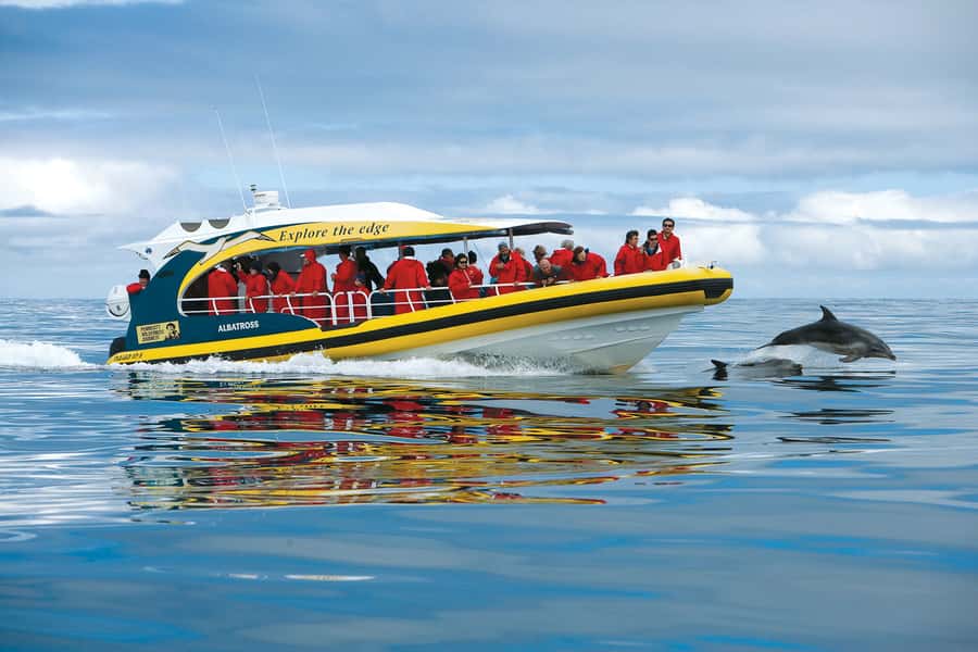 Hobart: Bruny Island Wilderness Coast Eco Cruise with Lunch - The highlights at a glance