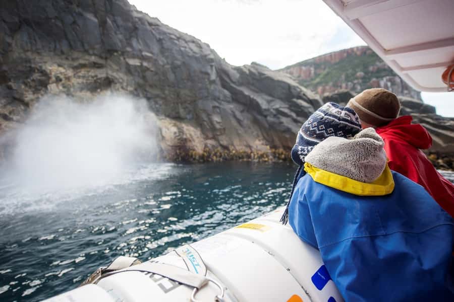 Hobart: Bruny Island Wilderness Coast Eco Cruise with Lunch - Why the open-water cruise is the main event