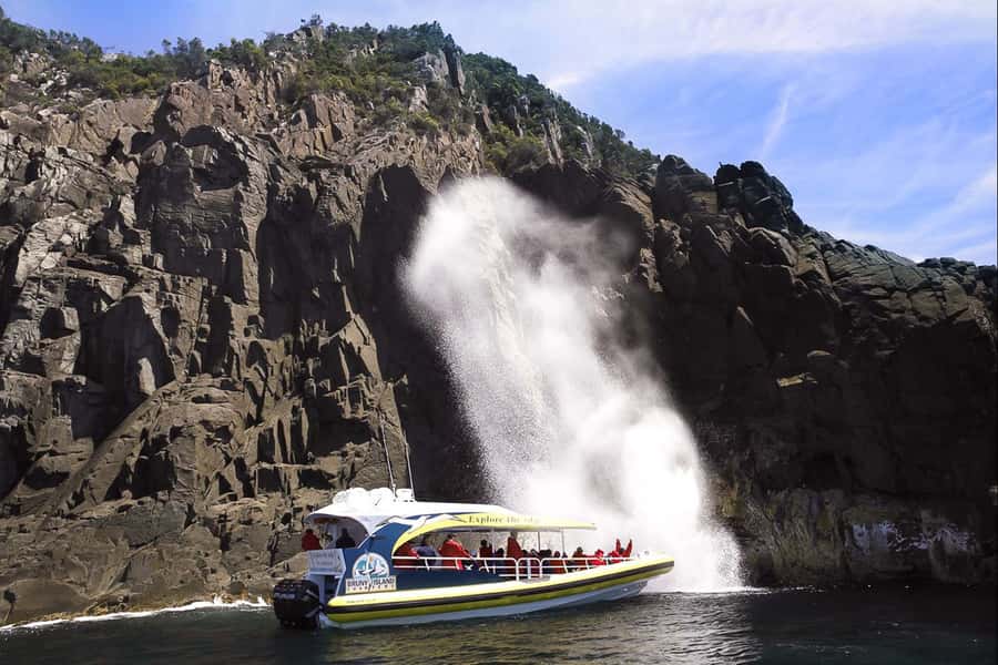 Hobart: Bruny Island Wilderness Coast Eco Cruise with Lunch - Lunch with Tasmanian ingredients