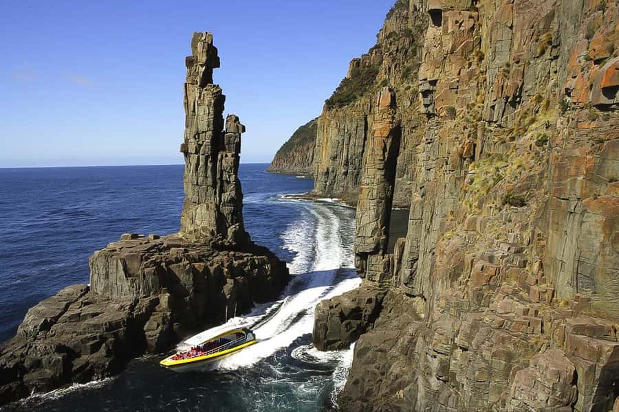 Hobart: Bruny Island Wilderness Coast Eco Cruise with Lunch - Friar Rocks and the seal colony