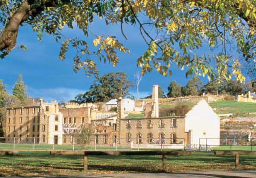 Hobart: Port Arthur & Tasman Park Full-Day Trip with Cruise - Key points to know before you book