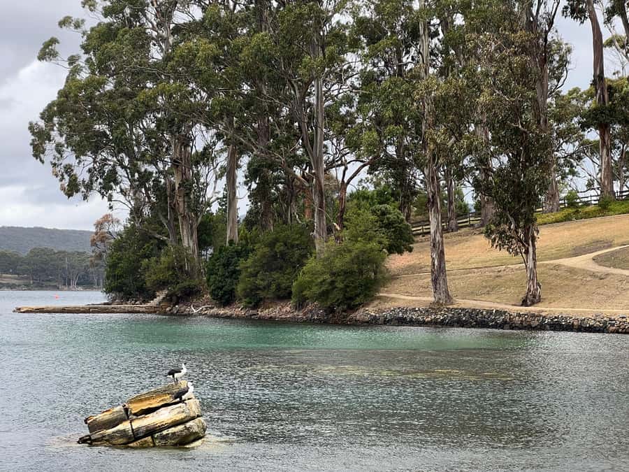 Hobart: Port Arthur & Tasman Park Full-Day Trip with Cruise - Who will enjoy this day most?