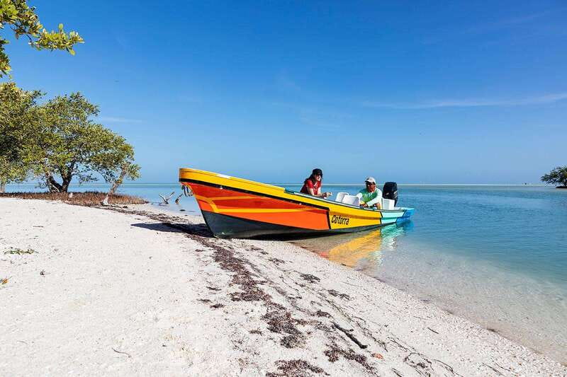 Holbox: Yum Balam Reserve Classic Boat Tour - Is the $36 price good value?