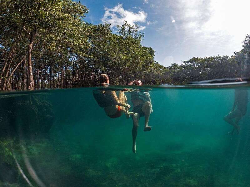 Holbox: Yum Balam Reserve Classic Boat Tour - Picking Yalahau or Bird Island