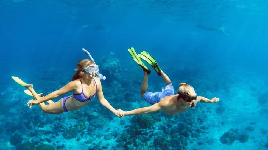 Hurghada: Dolphin Watching Boat Tour with Snorkeling & Lunch - Guides, safety, and the group atmosphere