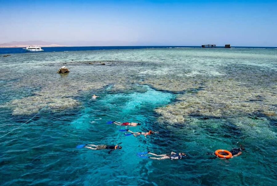 Hurghada: Dolphin Watching Boat Tour with Snorkeling & Lunch - Who should book this Hurghada boat tour?