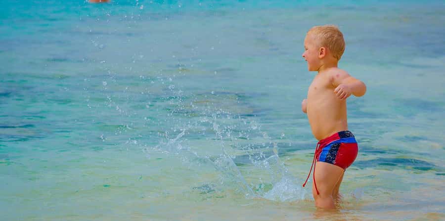 Hurghada: Hula Hula Cruise with Lunch, Massage, & Snorkeling - Snorkeling the Red Sea reef
