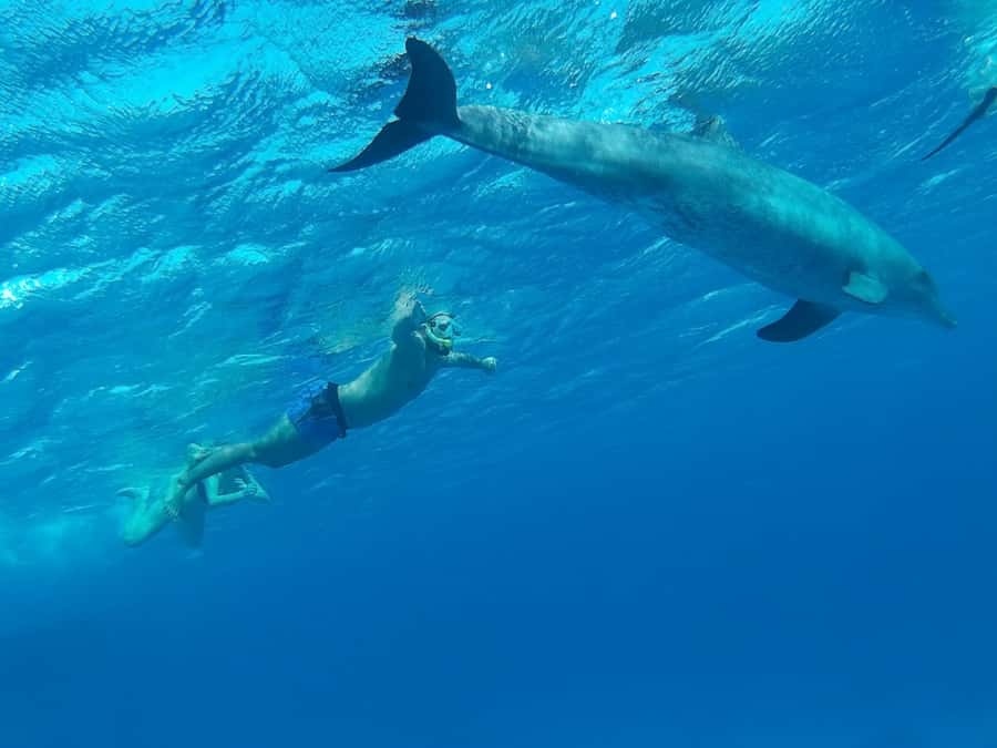 Hurghada: Luxury Cruise Trip to Orange Bay with Lunch - Why the crew affects the day