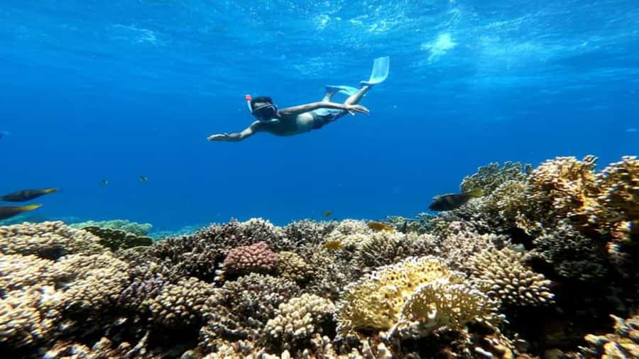 Hurghada: Luxury Cruise Trip to Orange Bay with Lunch - What to pack for Orange Bay and the reefs